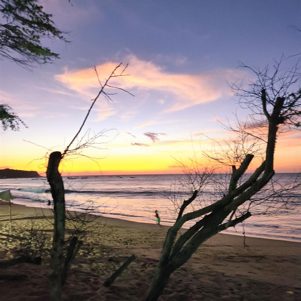 Sonnenuntergang am Meer, mit silhouettierten Bäumen im Vordergrund