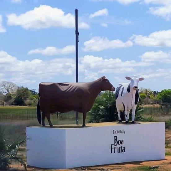 Zwei lebensgroße Kuhstatuen auf einem Podest mit Schriftzug 'Fazenda Boa Fruta' unter blauem Himmel